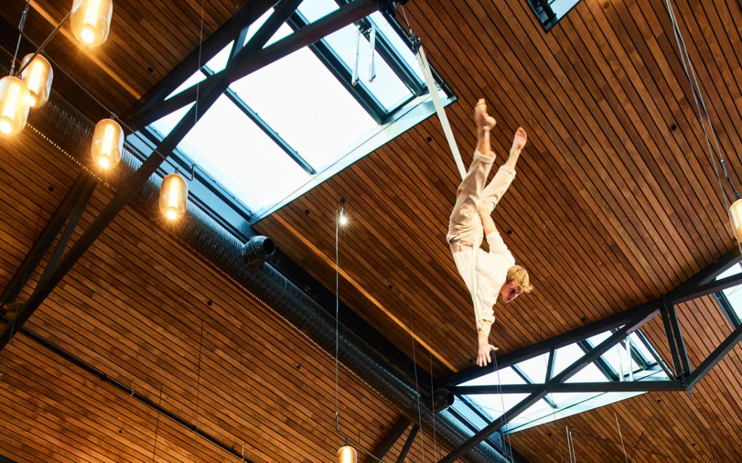 Aerial Duo Show – Straps and Dance