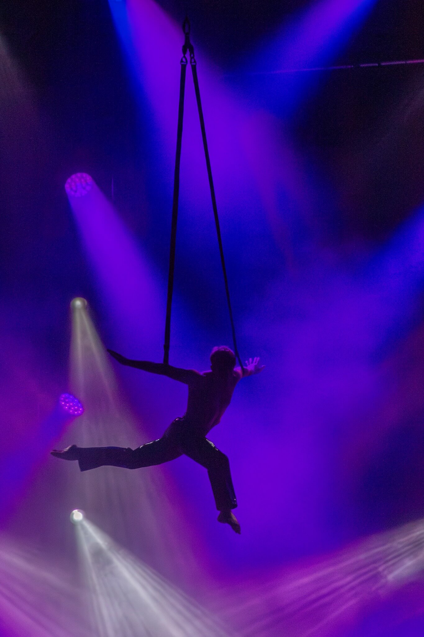 fashion dole quintin signori