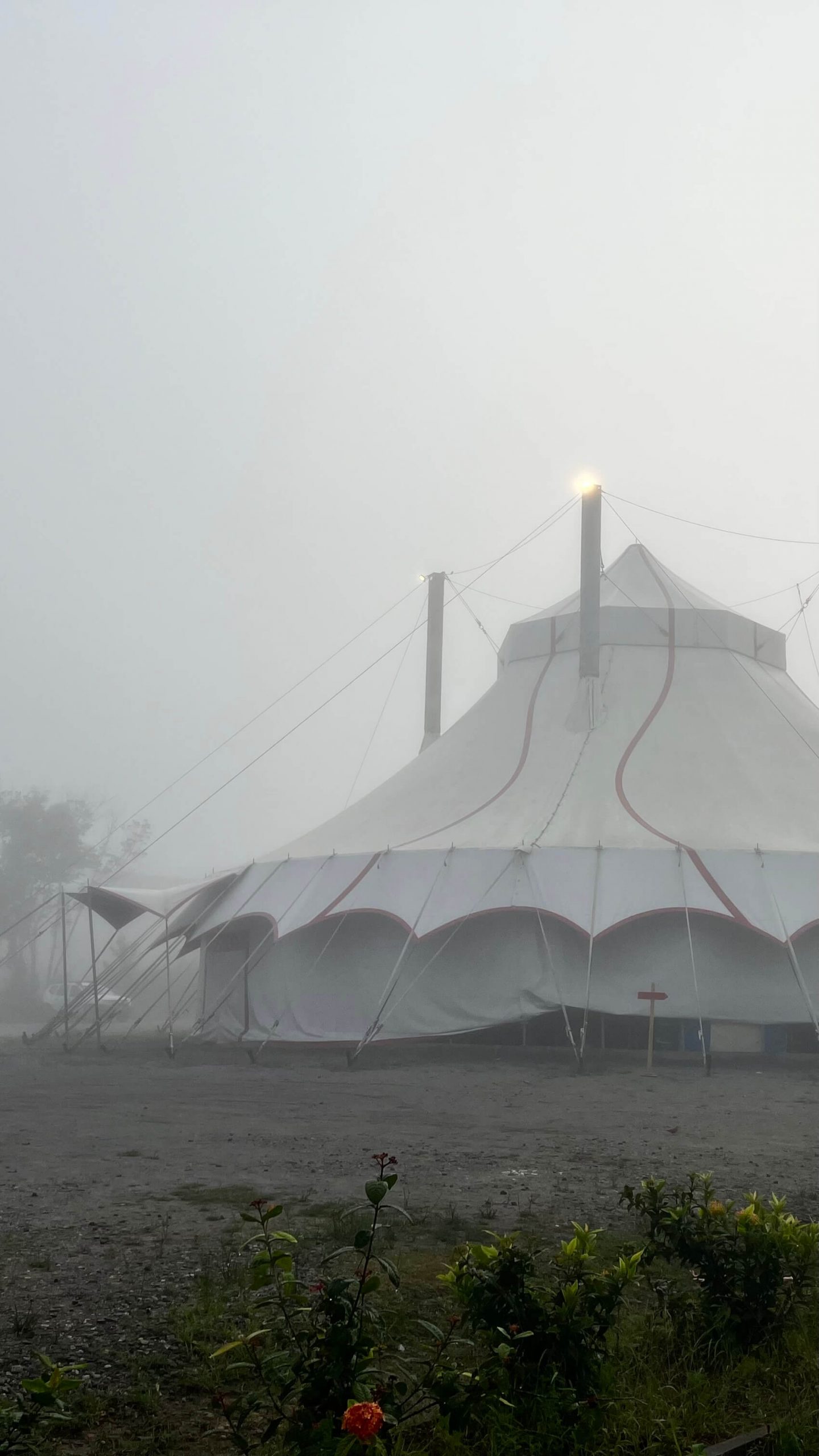 Quentin Signori Islanders